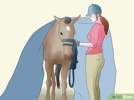 Immagine titolata Calm Your Horse Down Quickly Step 3