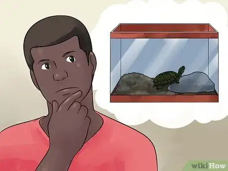 Immagine titolata Care for Your Box Turtle Step 3
