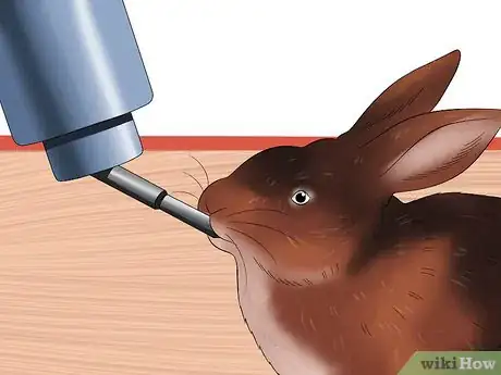 Immagine titolata Treat Heat Stroke in Rabbits Step 3