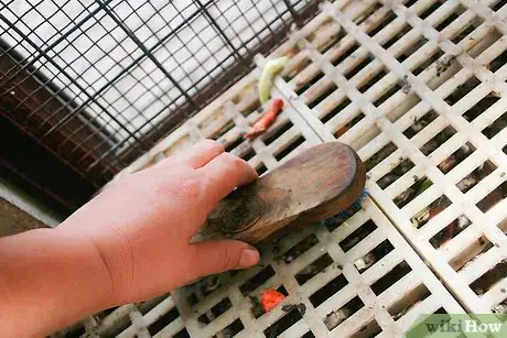 Immagine titolata Clean out a Rabbit Hutch Step 3Bullet1