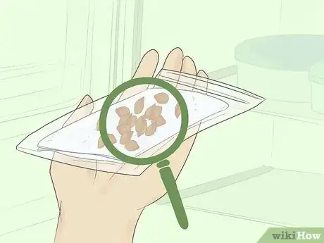 Immagine titolata Germinate Tree Seeds Step 14