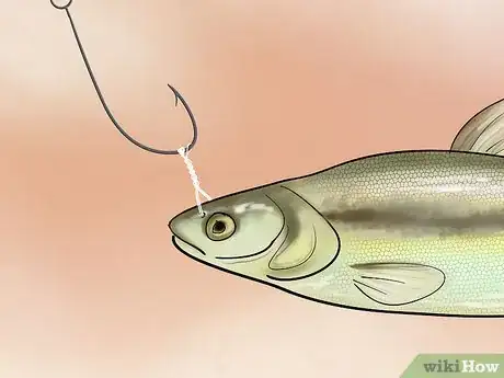 Immagine titolata Bait a Fishing Hook Step 25