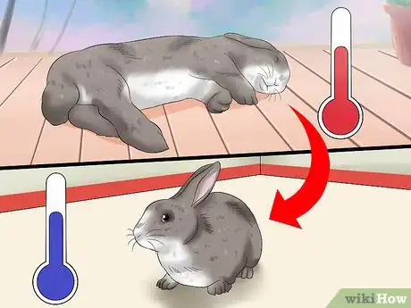 Immagine titolata Treat Heat Stroke in Rabbits Step 1