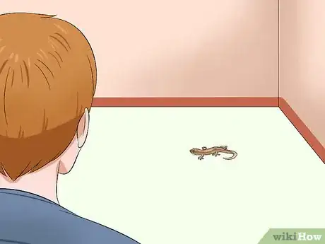 Immagine titolata Catch a Lizard Without Using Your Hands Step 1