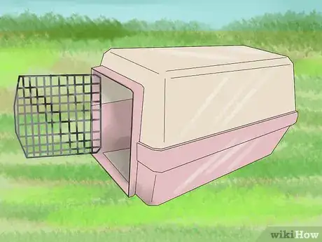 Immagine titolata Catch a Pet Rabbit Step 11