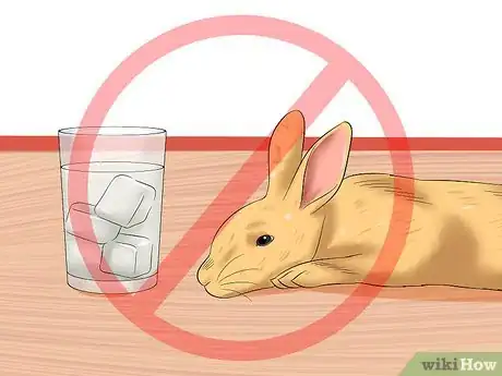 Immagine titolata Treat Heat Stroke in Rabbits Step 4