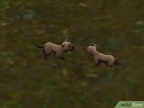 Immagine titolata Breed Your Pets on the Sims 3 Pets (Pc) Step 5