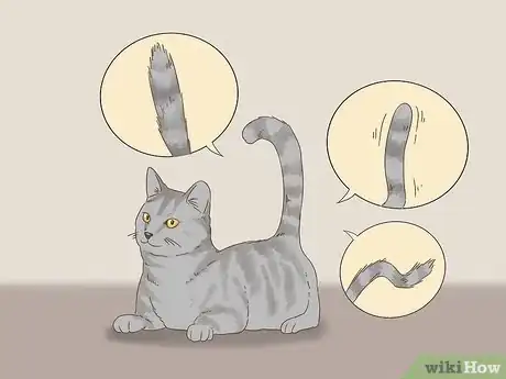 Immagine titolata Communicate with Your Cat Step 1