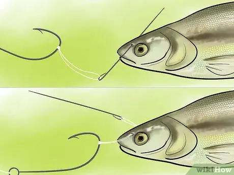 Immagine titolata Bait a Fishing Hook Step 23