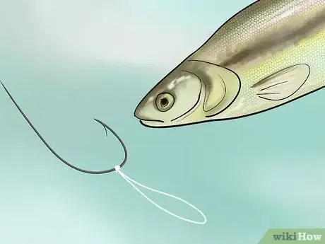 Immagine titolata Bait a Fishing Hook Step 20