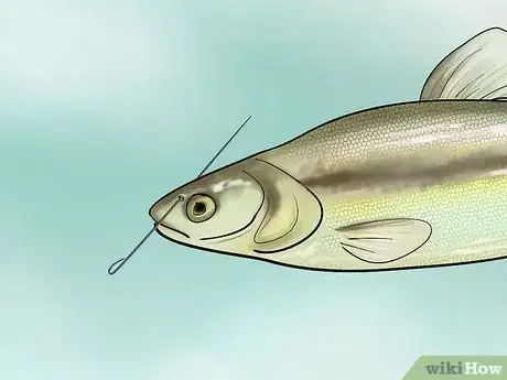 Immagine titolata Bait a Fishing Hook Step 22