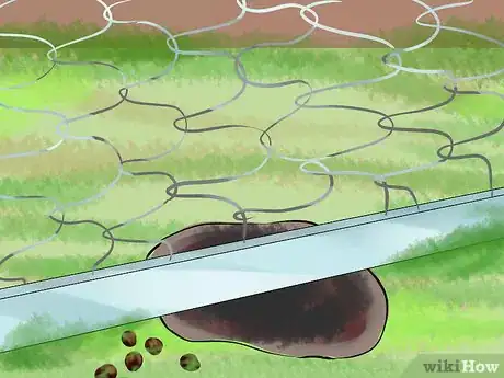 Immagine titolata Catch a Pet Rabbit Step 13