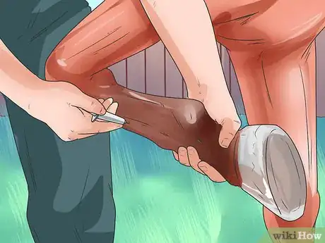 Immagine titolata Tell if Your Horse Needs Hock Injections Step 16