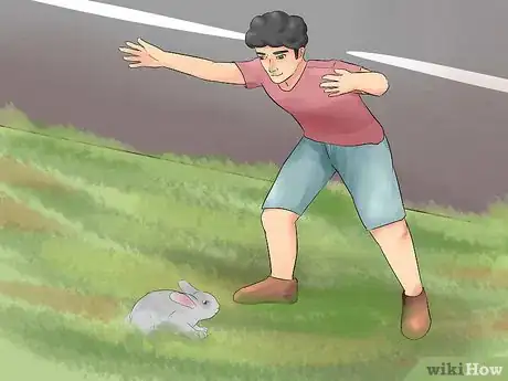 Immagine titolata Catch a Pet Rabbit Step 15