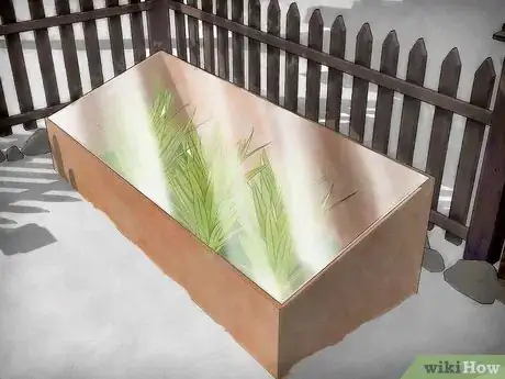 Immagine titolata Protect Plants from the Cold Step 4