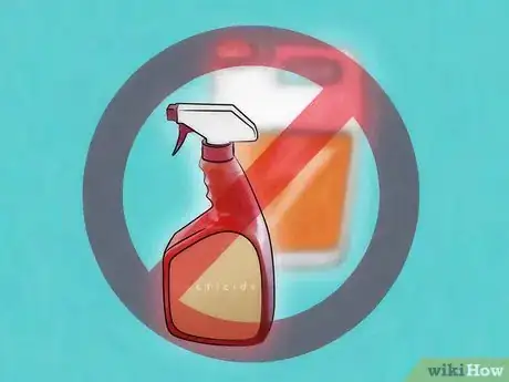Immagine titolata Stop Bed Bug Bites Immediately Step 17