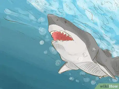 Immagine titolata Avoid Sharks Step 11