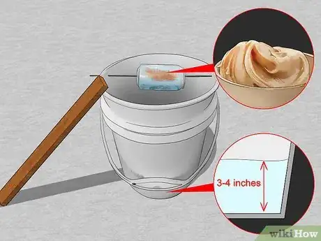 Immagine titolata Get Rid of Mice Fast Step 4