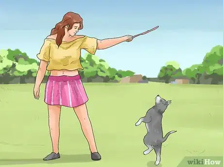 Immagine titolata Stop Aggressive Behavior in Dogs Step 18