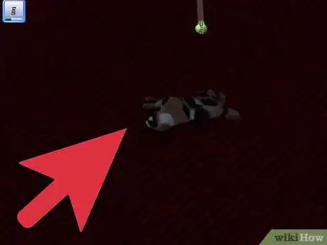 Immagine titolata Breed Your Pets on the Sims 3 Pets (Pc) Step 7