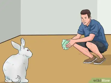 Immagine titolata Teach Your Rabbit to Come when Called Step 7