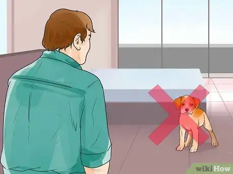 Immagine titolata Keep Fleas Off Dogs Step 14