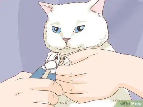 Immagine titolata Trim Your Cat's Nails Step 10