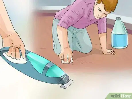 Immagine titolata Keep Fleas Off Dogs Step 18