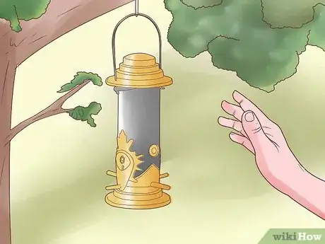 Immagine titolata Attract Yellow Finches Step 6