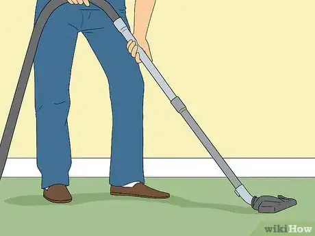 Immagine titolata Do Pest Control With a Vacuum Cleaner Step 3