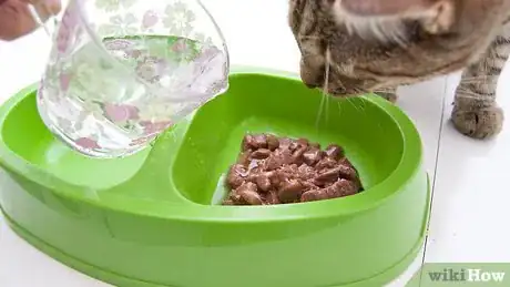 Immagine titolata Encourage Your Cat to Drink More Water Step 4