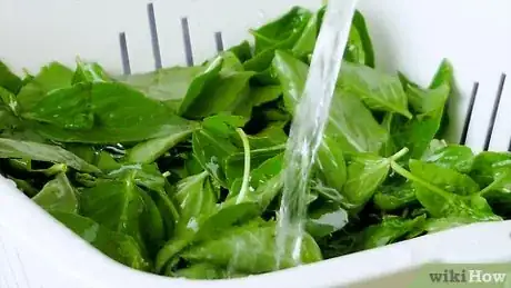 Immagine titolata Freeze Basil Step 19