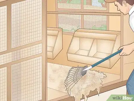 Immagine titolata Catch a Chicken Step 17