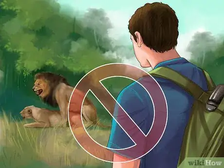 Immagine titolata Survive a Lion Attack Step 9