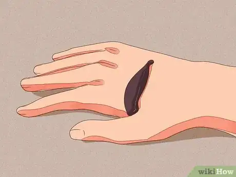 Immagine titolata Remove Leeches Step 4