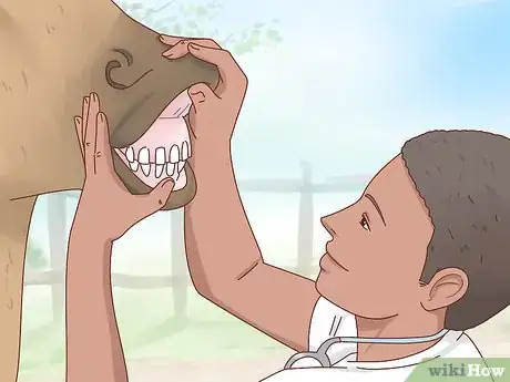 Immagine titolata Fatten up a Horse Step 3