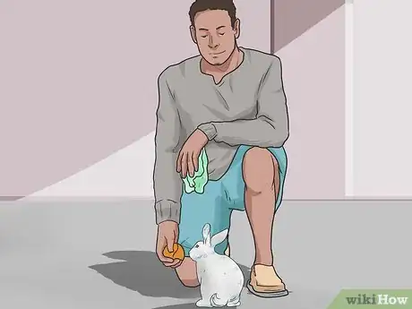 Immagine titolata Teach Your Rabbit to Come when Called Step 10