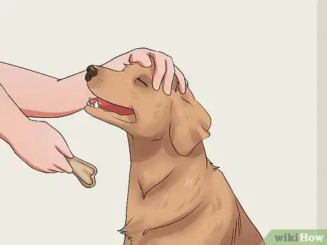 Immagine titolata Get Your Dog to Swallow a Pill Step 17