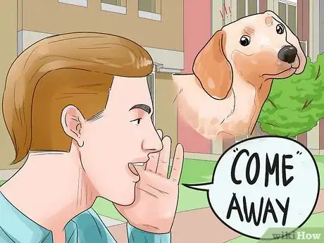 Immagine titolata Stop Aggressive Behavior in Dogs Step 5