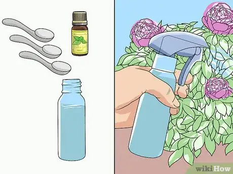 Immagine titolata Keep Ants off Peonies Step 3