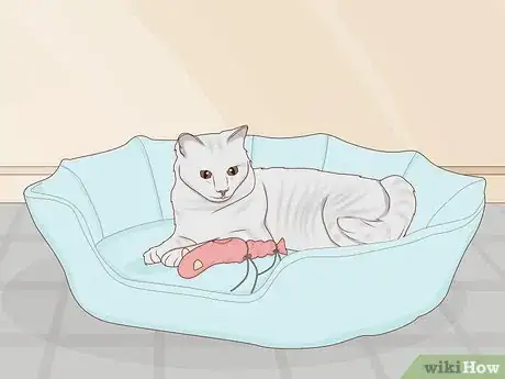Immagine titolata Make Cat Toys out of Common Household Items Step 40