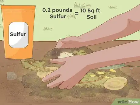Immagine titolata Lower Soil pH Step 8