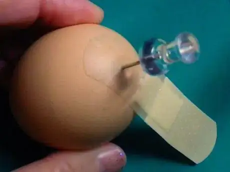 Immagine titolata Eggpin_935.JPG