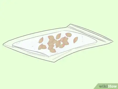 Immagine titolata Germinate Tree Seeds Step 12