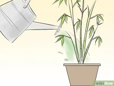 Immagine titolata Care for an Indoor Bamboo Plant Step 4