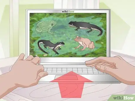 Immagine titolata Care for Salamanders Step 13