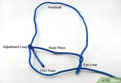 Immagine titolata Make an Adjustable Rope Halter Step 11