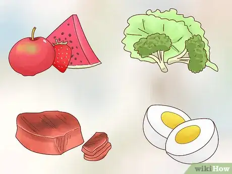 Immagine titolata Take Care of a Hedgehog Step 10
