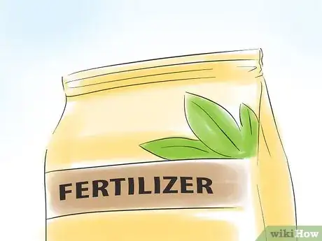 Immagine titolata Care for an Indoor Bamboo Plant Step 6