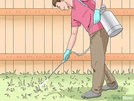 Immagine titolata Make Weed Killer Step 9